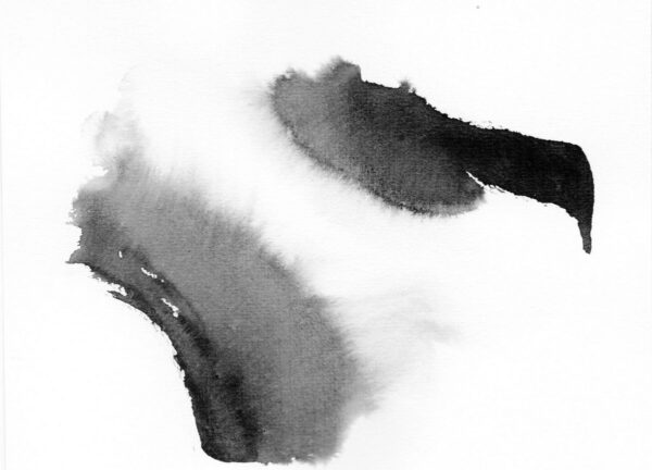 Abstraction 14" est un dessin à l'encre original créé avec des techniques traditionnelles Sumi-e, comportant des coups de pinceau noirs et gris sur du papier 300gr pour former un dessin abstrait dynamique riche de nuances et de dégradés variés. - Atelier Terre et Bois à Colmar